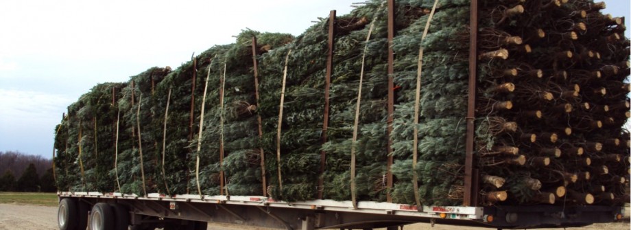 Wholesale christmas hot sale trees